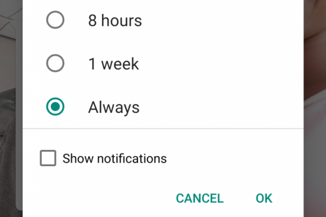 WhatsApp Now Lets You Silence Chat Notifications Forever