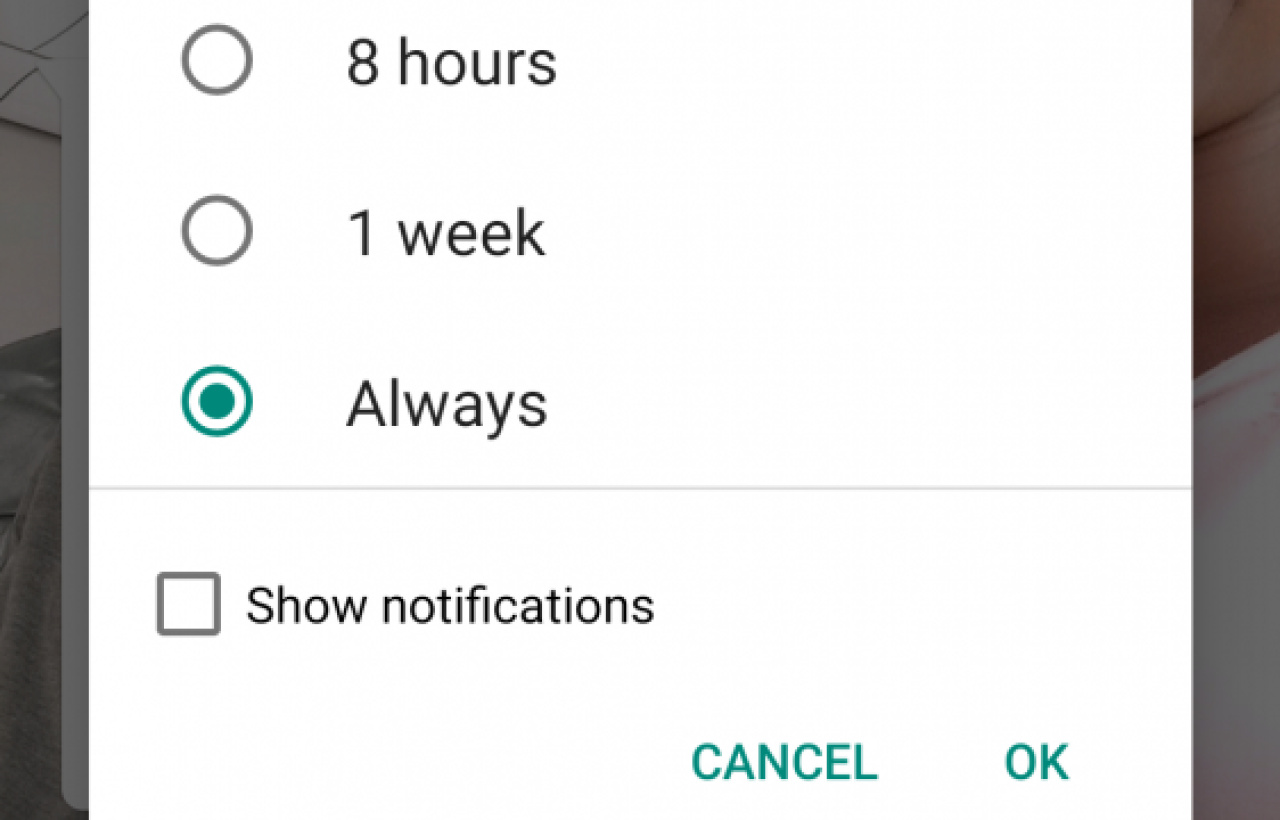 WhatsApp Now Lets You Silence Chat Notifications Forever