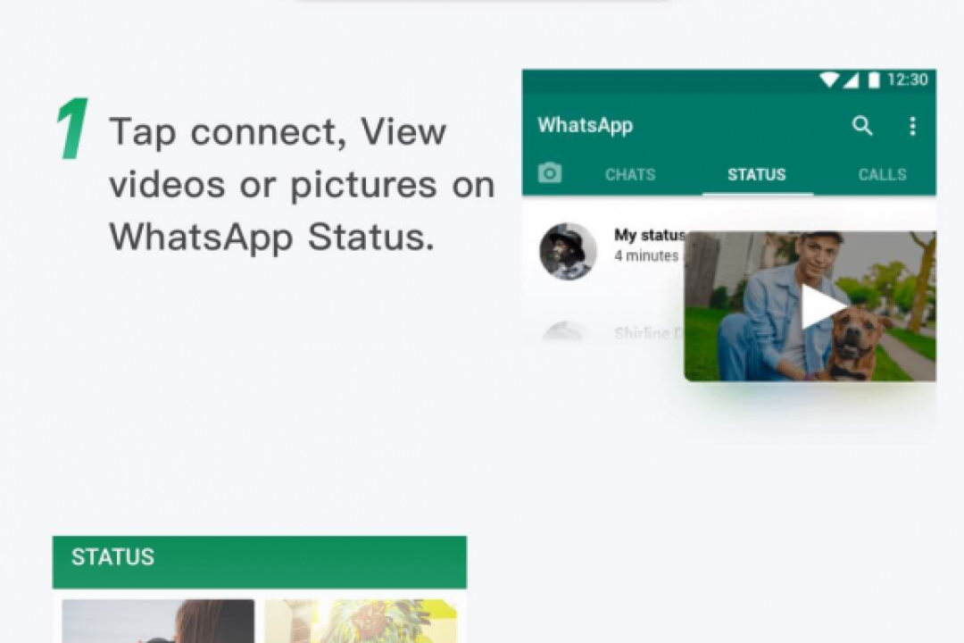 How to secretly download WhatsApp status