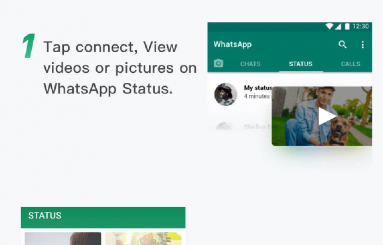 How to secretly download WhatsApp status