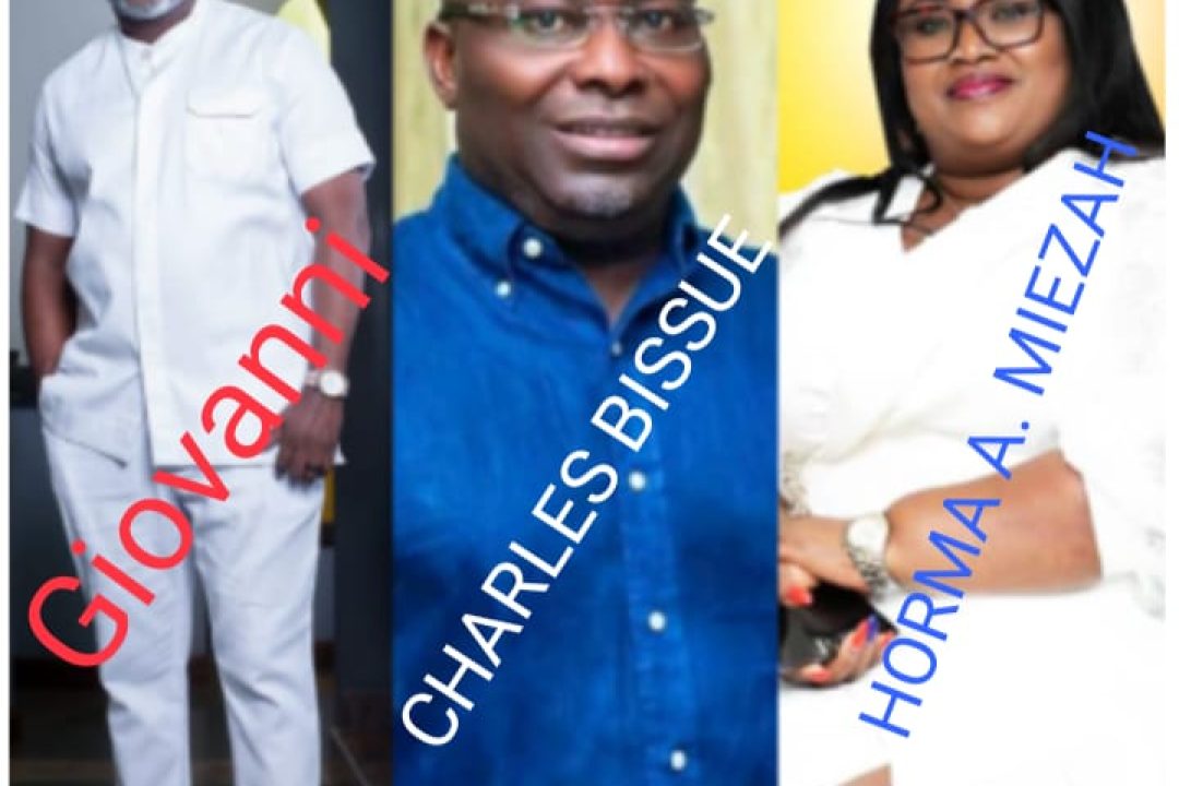 NPP PRIMARIES: WHO SUCCEEDS FORMER RAILWAY SECTOR MINISTER IN ESSIKADO-KETAN